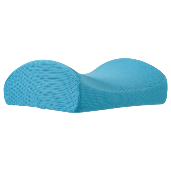 Blutiger Lumbar Support Cushion | As Seen on TV | Bulbhead