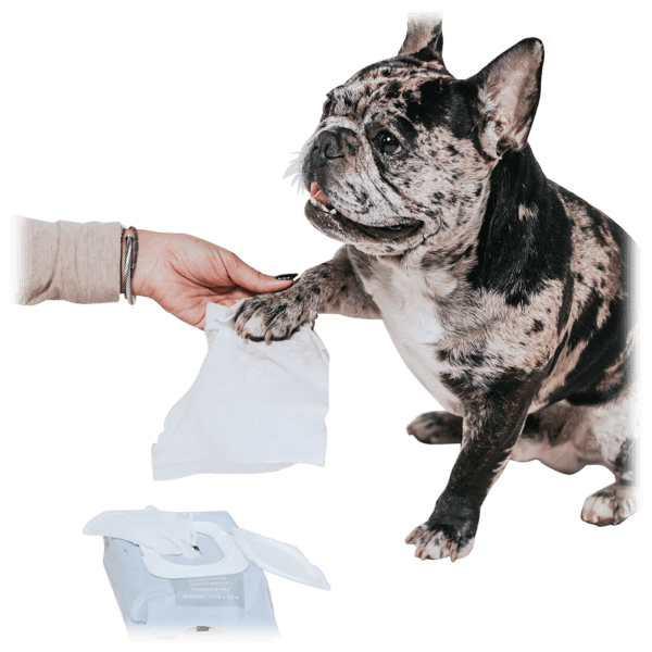 Meh 8Pack ROMP Pet Cleaning Wipes (640 wipes)