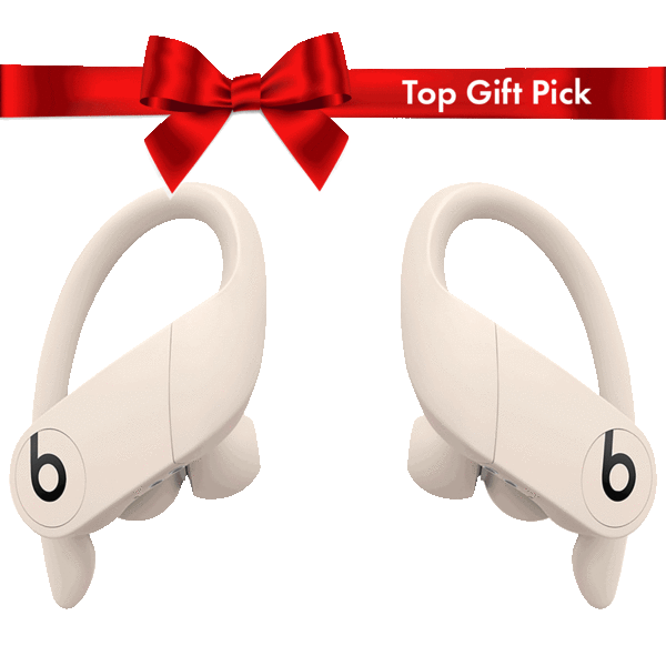 MorningSave: Beats Powerbeats Pro True Wireless High-Performance Earbuds