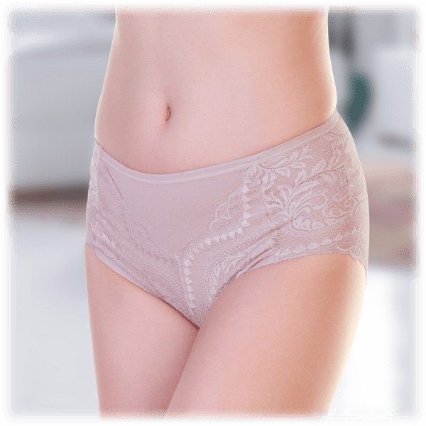 MorningSave 6Pack Angelina Cotton HighRise Brief Panties with Lace