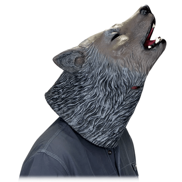 SideDeal PickYour2Pack Animal Masks