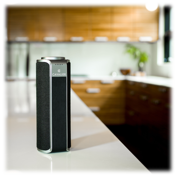 cavalier portable speaker