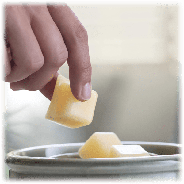 MorningSave 6Pack Hosley Fragranced Wax Cubes (2.5 oz)