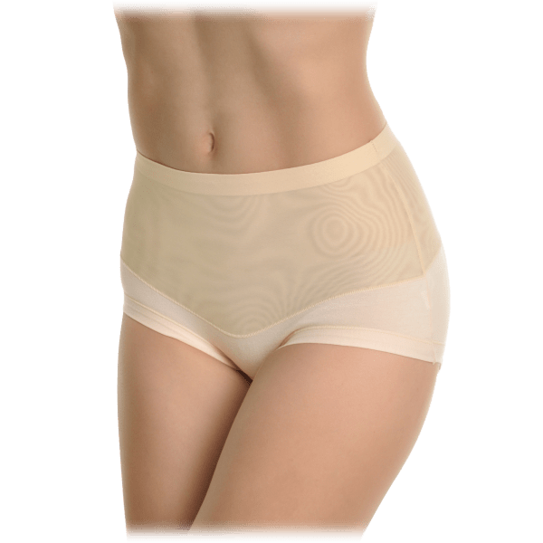 Morningsave 6 Pack Angelina Cotton High Waist Briefs With Mesh Waist 6966