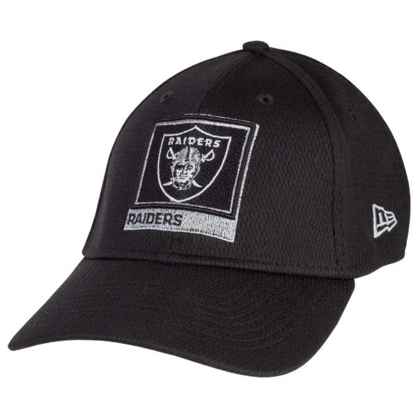 Las Vegas Raiders Hat Adjustable Strap Women's Low Profile Grey NWT
