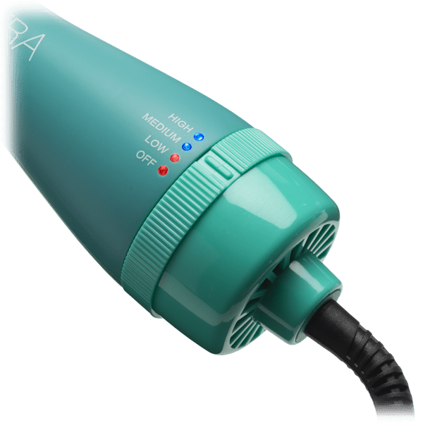 Morningsave Sutra Professional Blowout Brush Hair Dryer And Styler