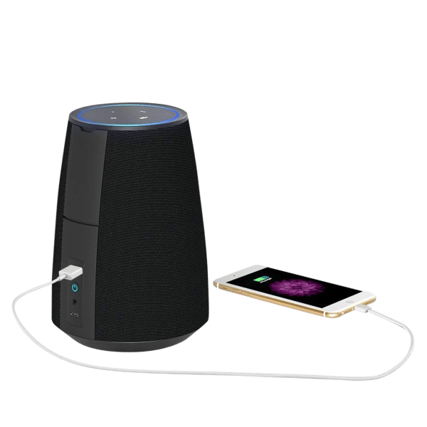 Meh Portable Echo Dot Speaker Dock with Power Bank