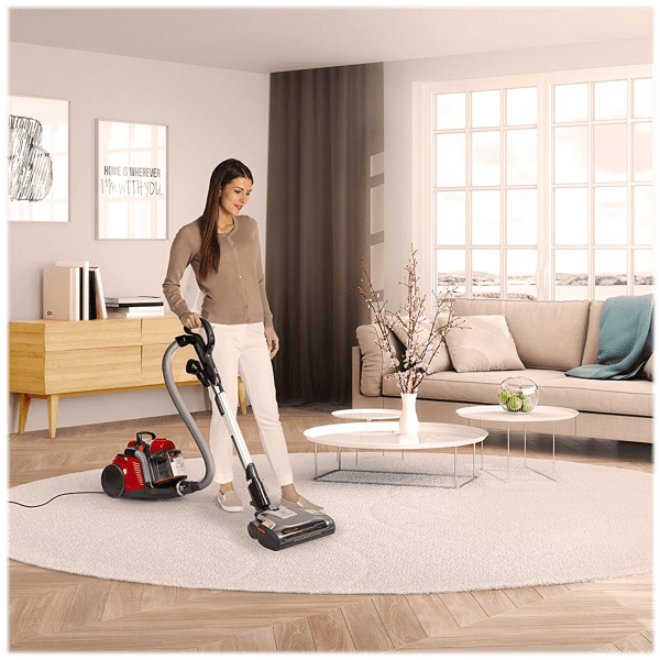 MorningSave Electrolux EL4335B Corded Ultra Flex Canister Vacuum
