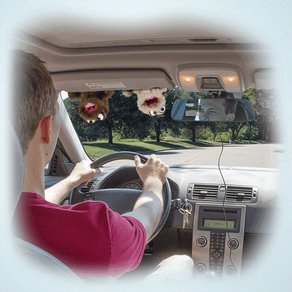 MorningSave Rearview Mirror Dash Cam DVR Recorder