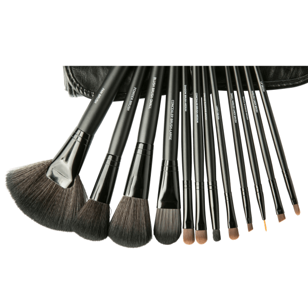 MorningSave Vivitar Simply Beautiful Makeup Brush Cleaner with 12