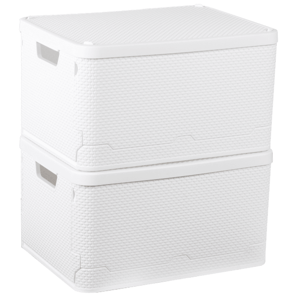 MorningSave 2Pack Storesmith Collapsible Bins
