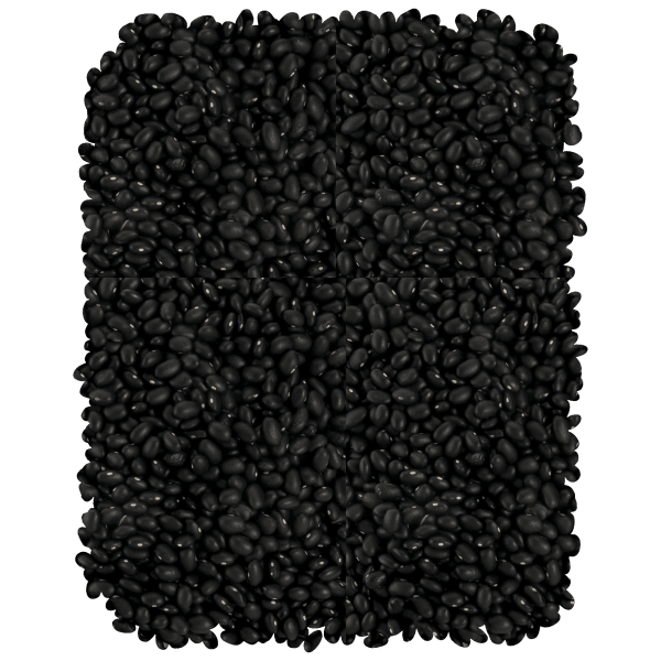 MorningSave 20lb Case of Silver Source Black Beans Dried (1 unit of 20lb)