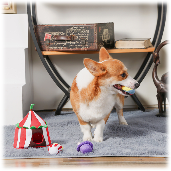 Jouet en peluche pour chien - Dracula 🧛 - HugSmart