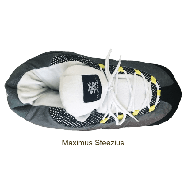 Kozy on sale soles slippers