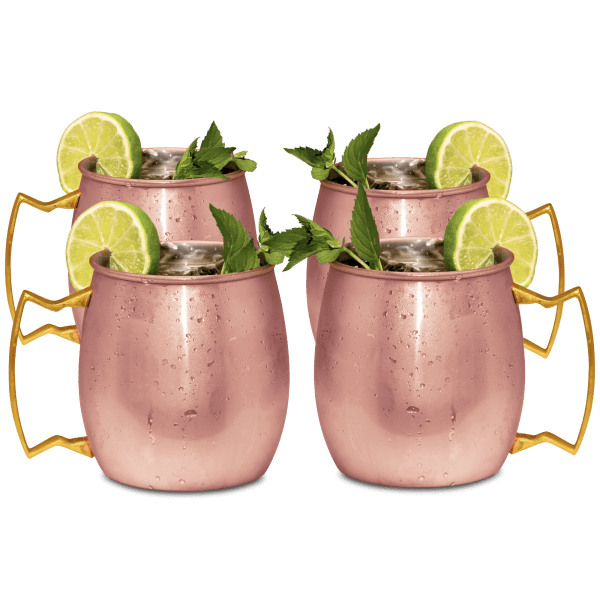 Meh 4Pack Moscow Mule Mugs