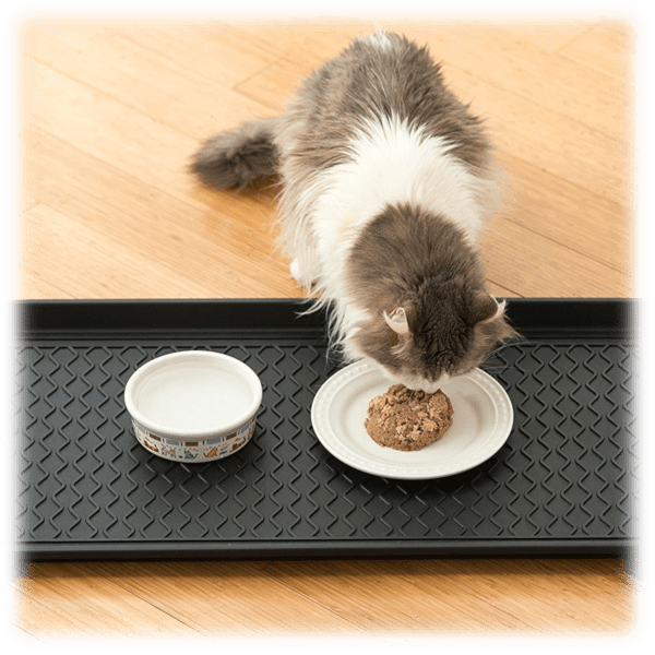 4Pack MultiPurpose Rubber Floor Mat + Tray for Outdoor & Indoor