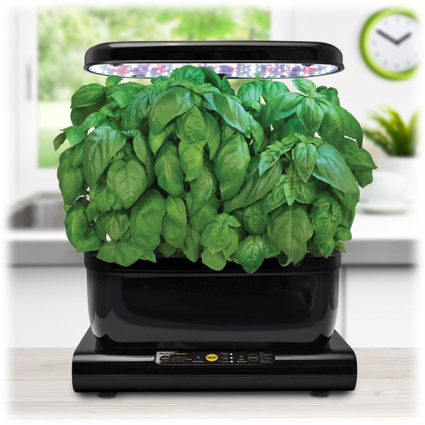 MorningSave AeroGarden Pesto Basil 6Pod Seed Kit