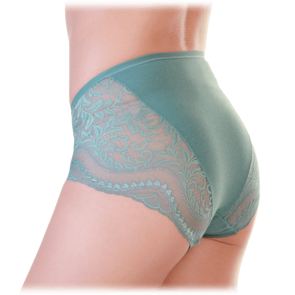 MorningSave 6Pack Angelina Cotton HighRise Brief Panties with Lace