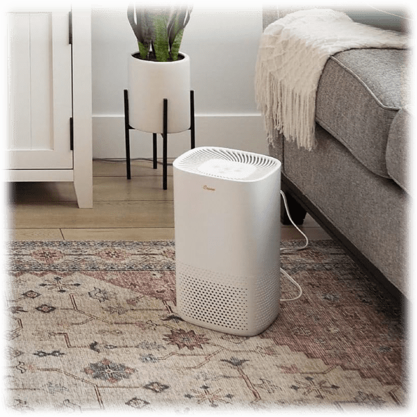 Surprising Crane True Hepa Air Purifier Picturesnull