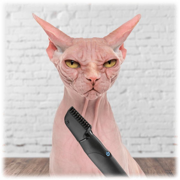 Meh Ballsy B2 Balls & Body Trimmer for Men