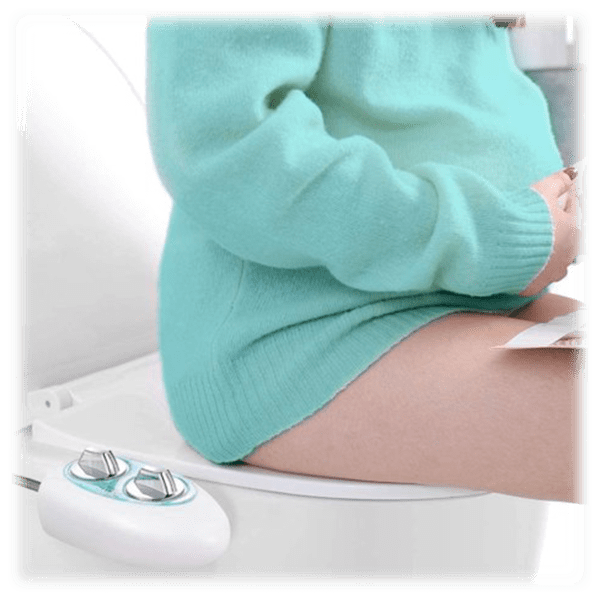 SideDeal Dalmo NonElectric SelfCleaning Bidet Attachment