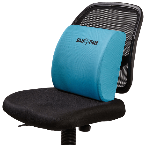 Blutiger Lumbar Support Cushion | As Seen on TV | Bulbhead