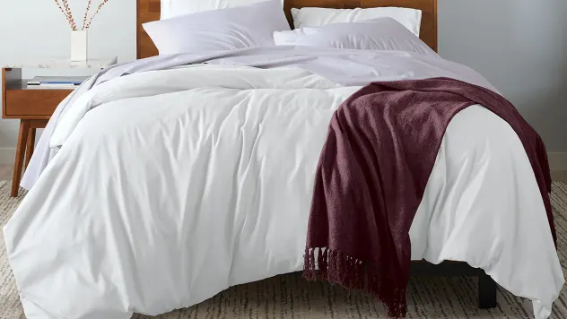 2-Pack: Ella Jayne Viscose Chenille Decorative Throw Blankets