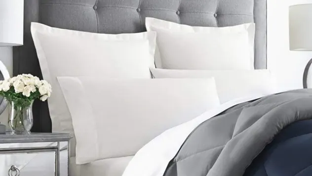 2-Pack: Park Hotel Luxury White Down & Down Alternative Blend Pillow (Queen)