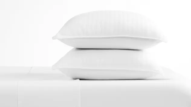 2-Pack: Cloth & Gable Down-Alternative Gel-Fiber Pillows