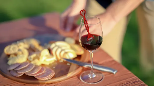 20-Pack: PureWine The Wand Wine Purifier