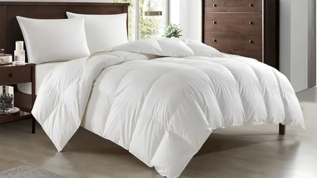New York & Company Gianna Down & Duck Feather Comforter