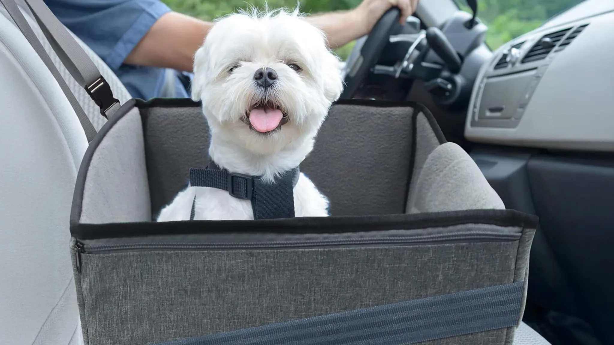 Kallodear Dog Car Seat for Small and Medium Dogs