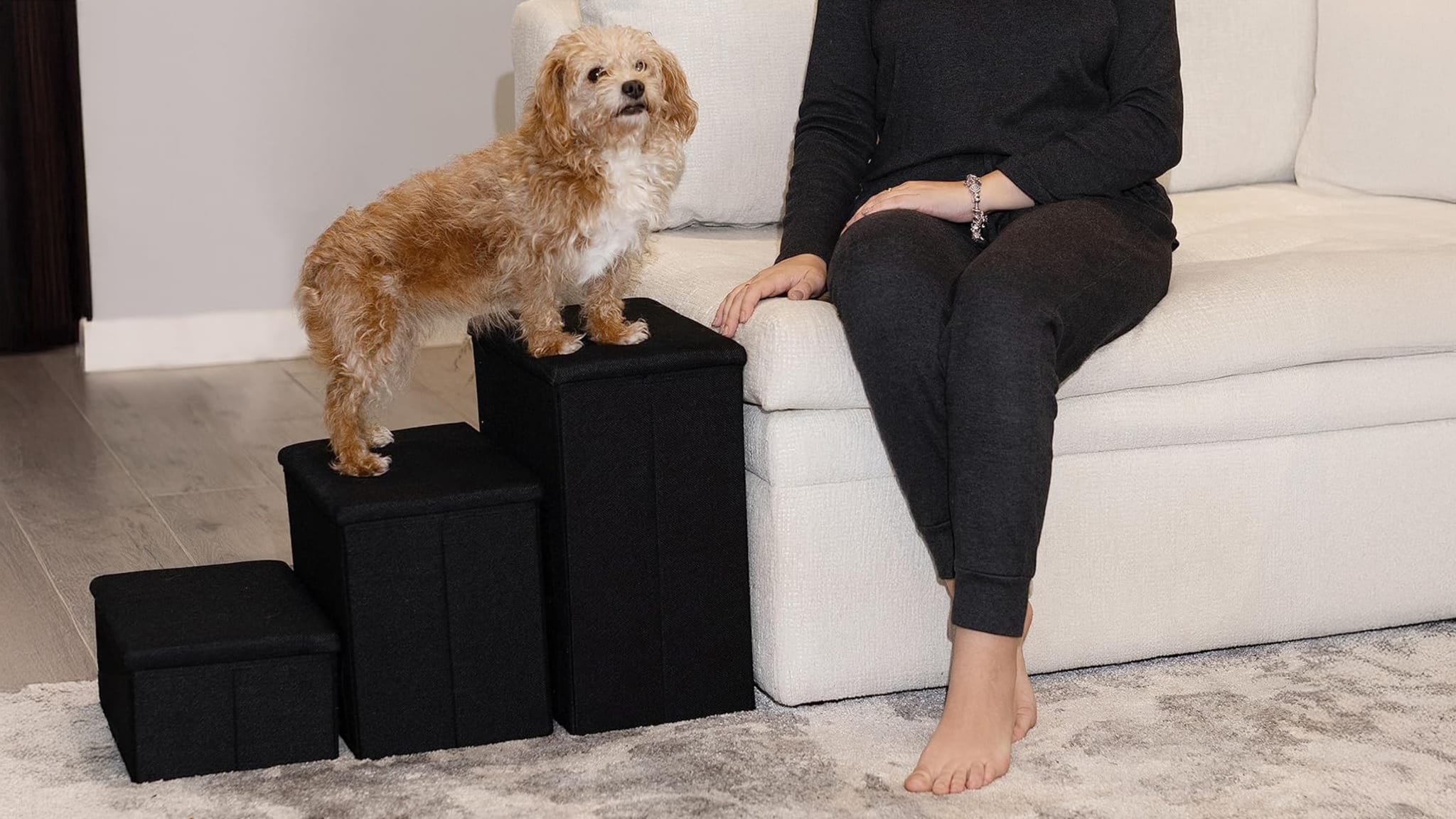 Tidy Niches Pet Stairs