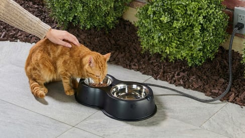 The Heated Outdoor Cat Bowls
