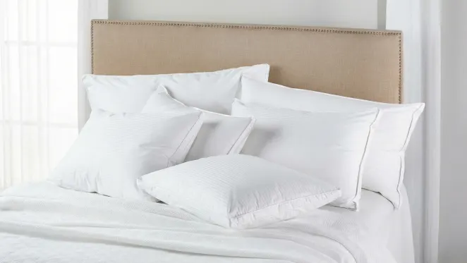 The Superior European Down Pillow (King Medium)