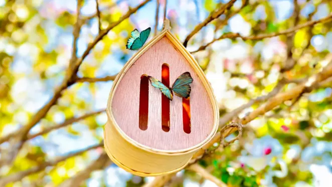 The Hanging Teardrop Butterfly House