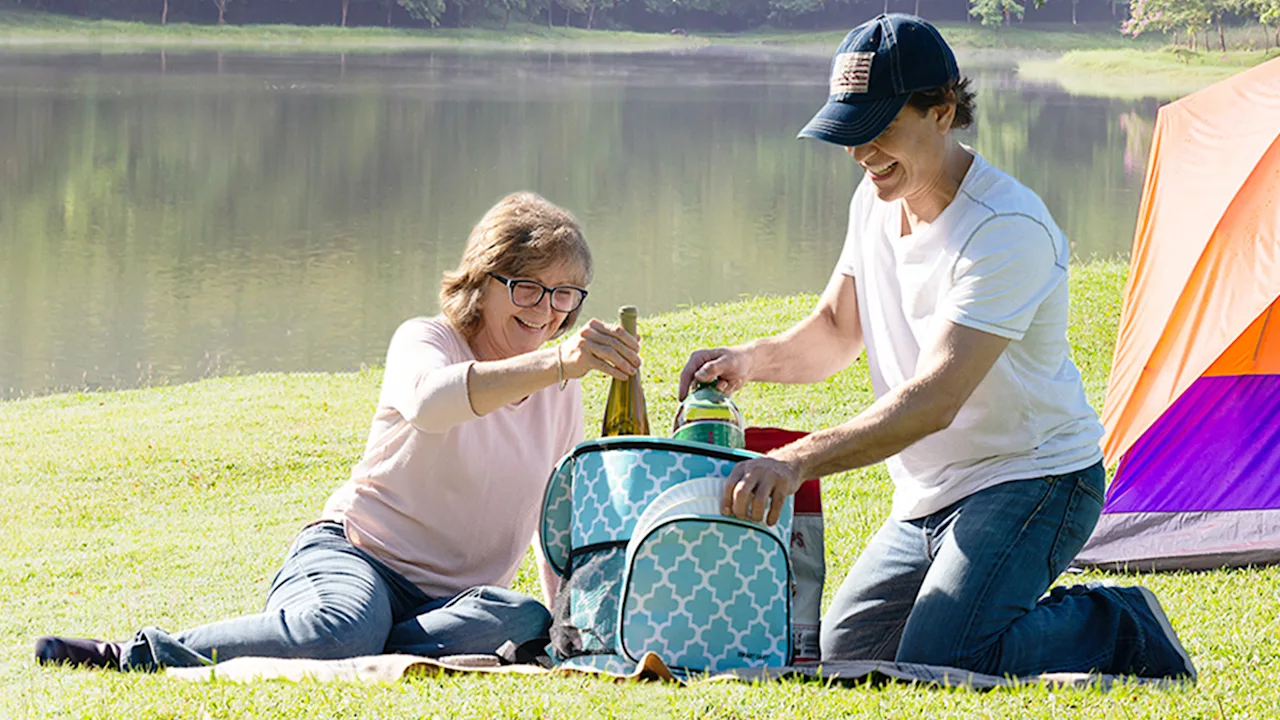 Smart Cart Insulated Cooler Backpack