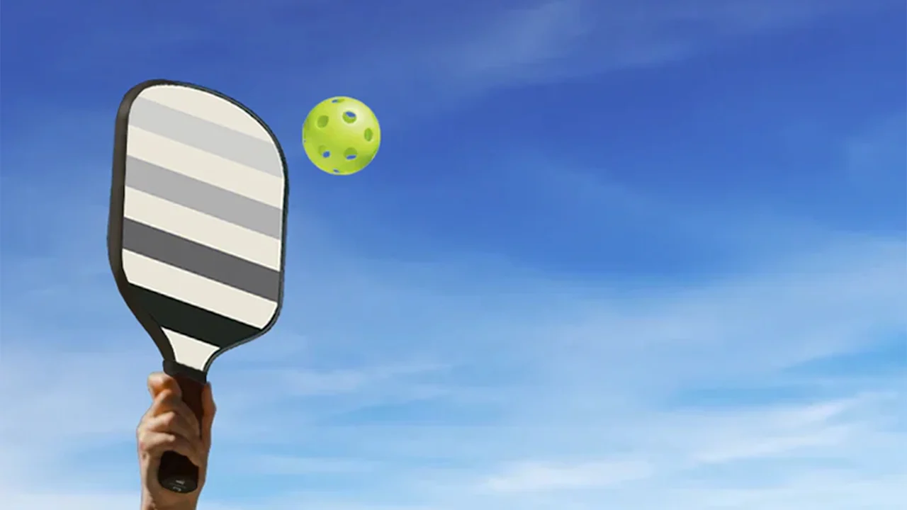2-Pack: Jill & Ally Pickleball Paddles