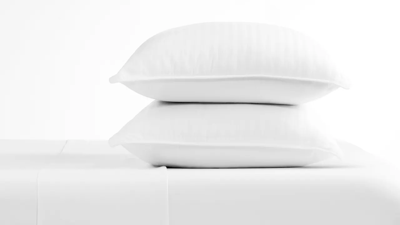 2-Pack: Cloth & Gable Down-Alternative  Gel-Fiber Pillows