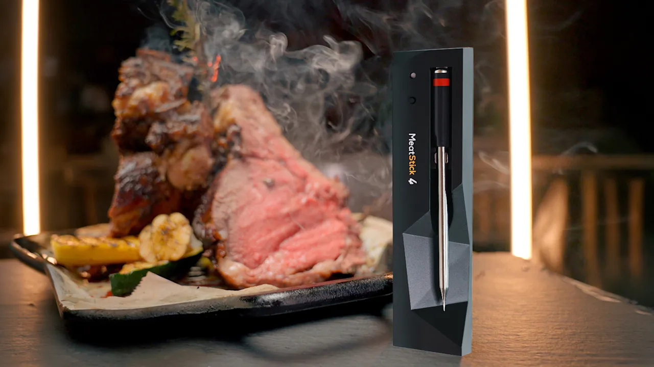 MeatStick 4 Quad-Sensor Meat Thermometer with WiFi Extender Bundle