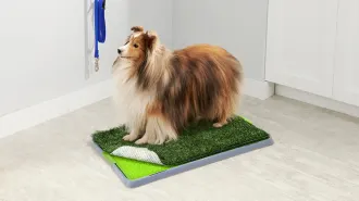 Mess Proof Indoor Dog Potty