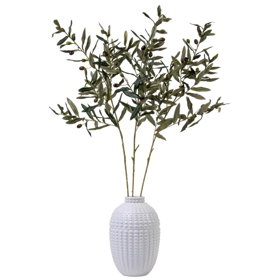 August & Leo Arrangement of Olive Branches in Ceramic Vase