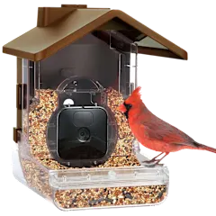 Wasserstein Bird Feeder Smart Camera Case Compatible with Ring, Blink & Wyze Cam