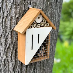 The Three-Compartment Hanging Insect Home