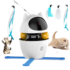 The 4-in-1 Interactive Cat Toy