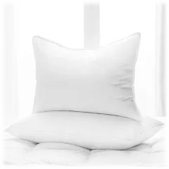 2-Pack: Vera Nice Aloe Vera Gel Pillow