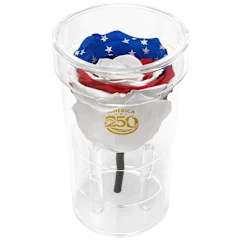 The Short-Stemmed Stars & Stripes Preserved Rose