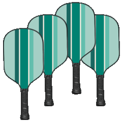 4-Pack: Jill & Ally Double-Sided Pickleball Paddles