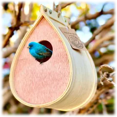 The Outdoor Polinating Birdhouse