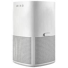 The High-Power Home Air Purifier